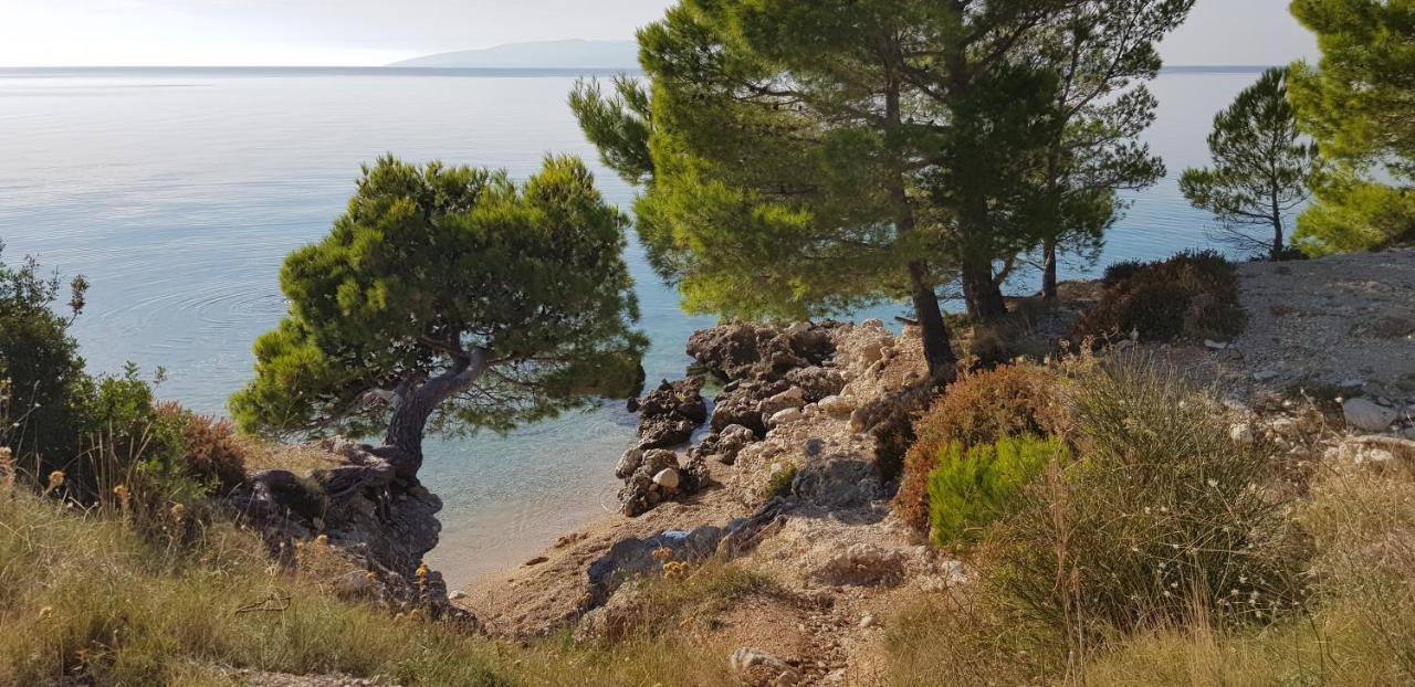 Old Town Studio Apartments Makarska Kültér fotó
